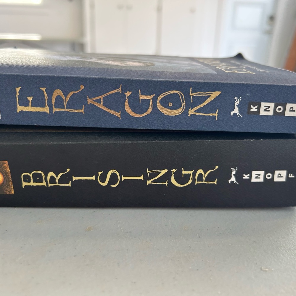 Set of Two Hardcover Books with Navy and Black Covers
